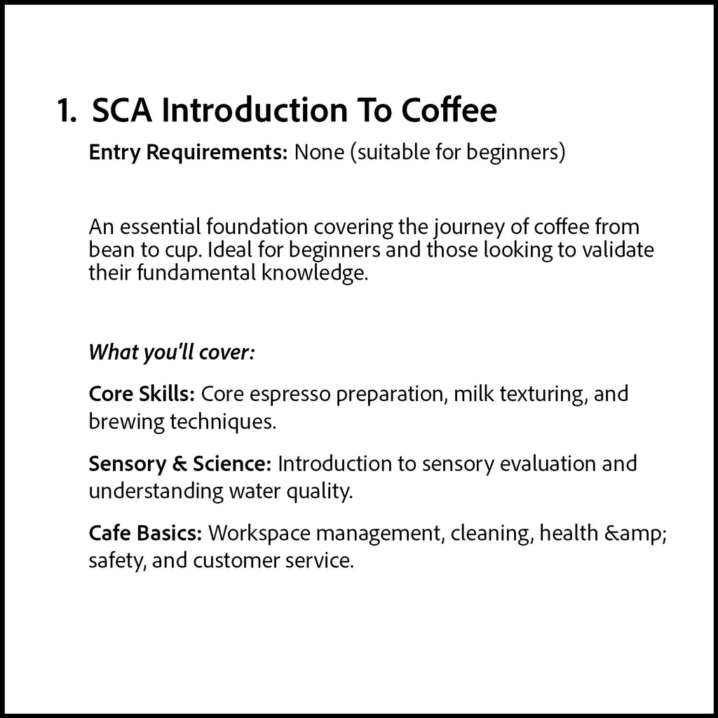 SCA Introduction to Coffee