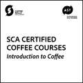 SCA Introduction to Coffee